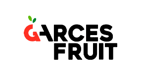Fruto Fruto