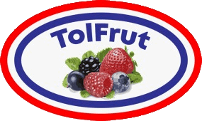 Fruto Fruto